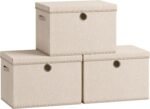 Foldable Storage Bins with Lids, Set of 3, 41 Quart Closet Organizers